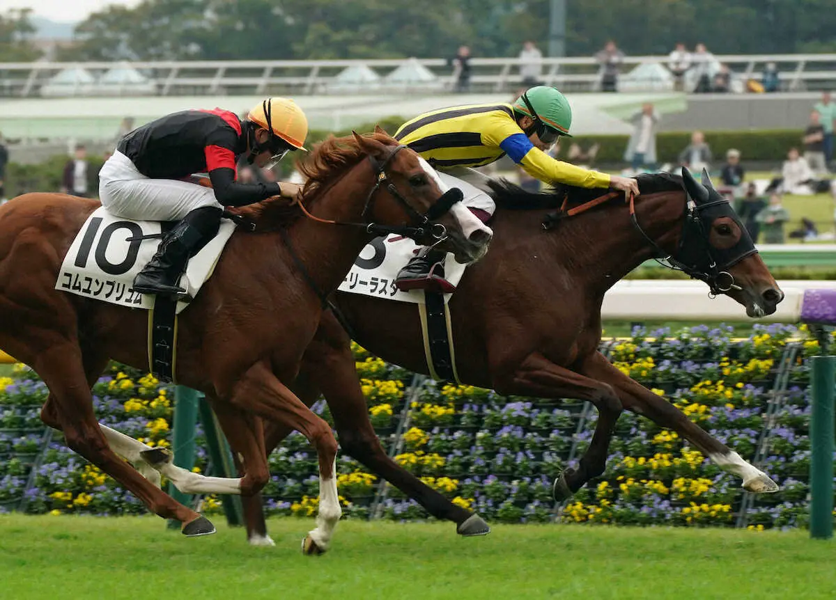 【東京新馬戦】パーリーラスター　猛追振り切った!アーモンドアイ初子アロンズロッドは4着