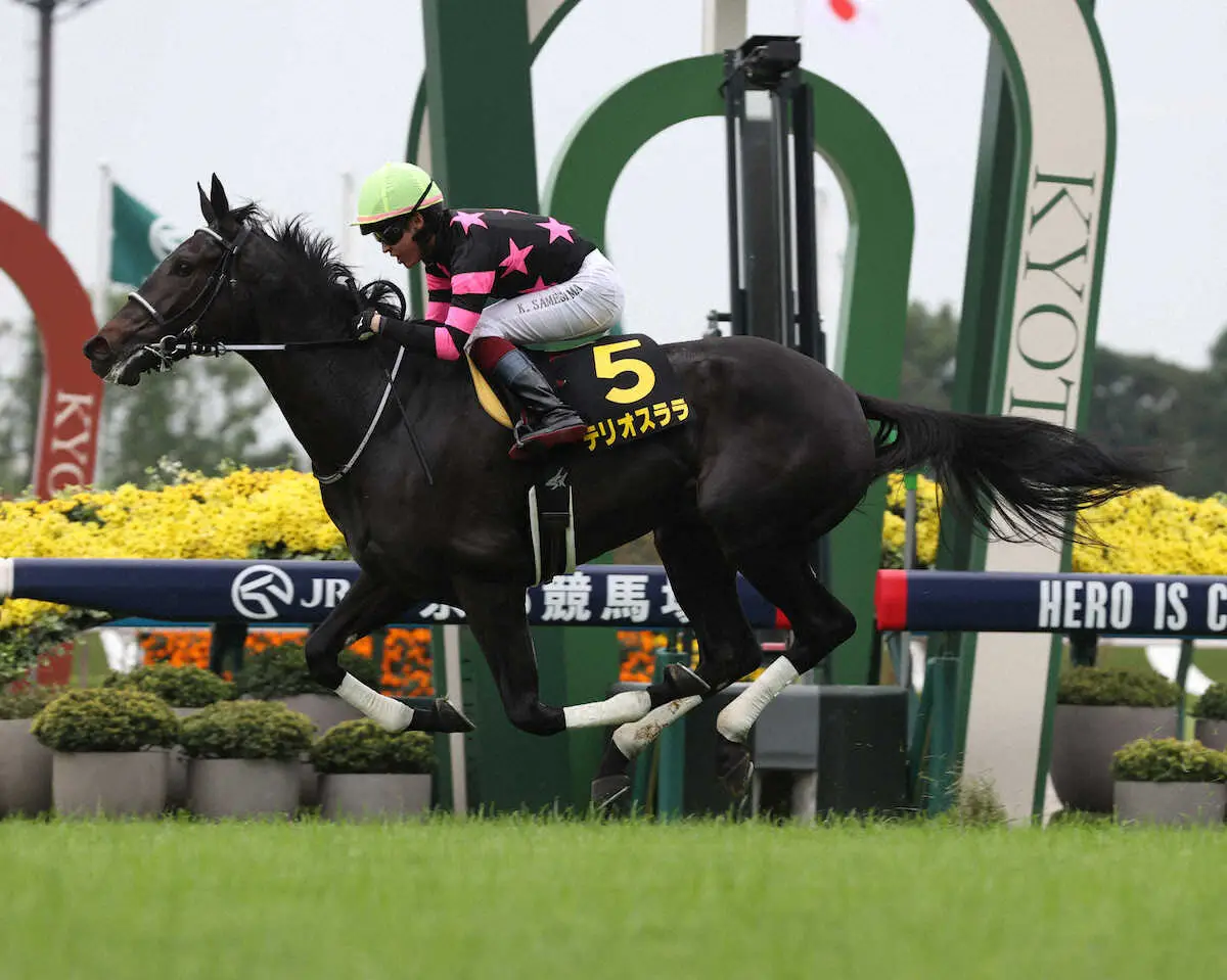 【萩S】テリオスララV　鮫島駿「前に乗った時より、成長していたように感じました」