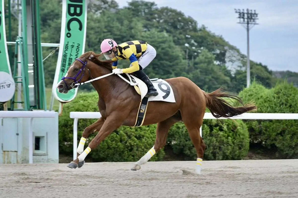 【地方競馬】飛田愛斗　地方競馬通算500勝達成　佐賀1Rで