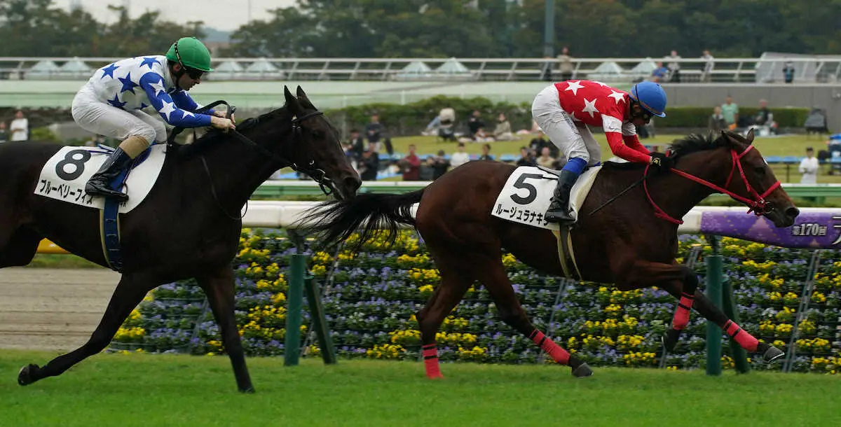 【東京新馬戦】ルージュラナキラ　逃げて半馬身差快勝!　加藤征師「1F延びても問題なさそう」