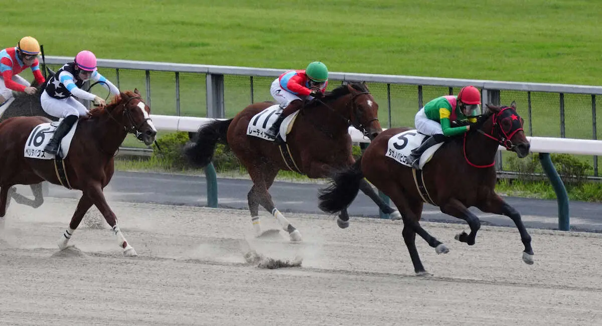 【東京新馬戦】中団から抜けた!タガノバビロン鋭伸V　坂井瑠星はJRA通算500勝達成