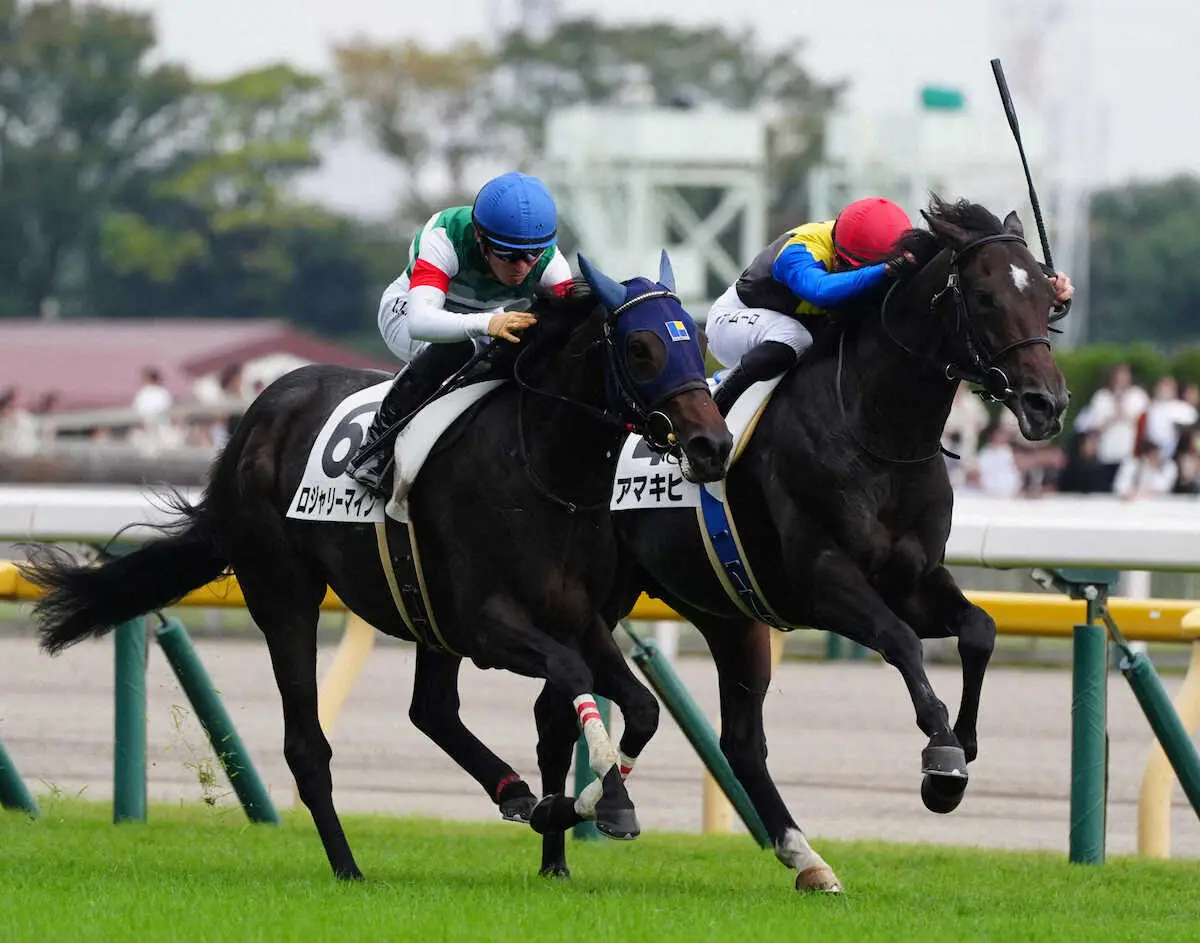 【東京新馬戦】勝負根性見せた!アマキヒ逃げ切りV　国枝師「ダービーに行きたいね」