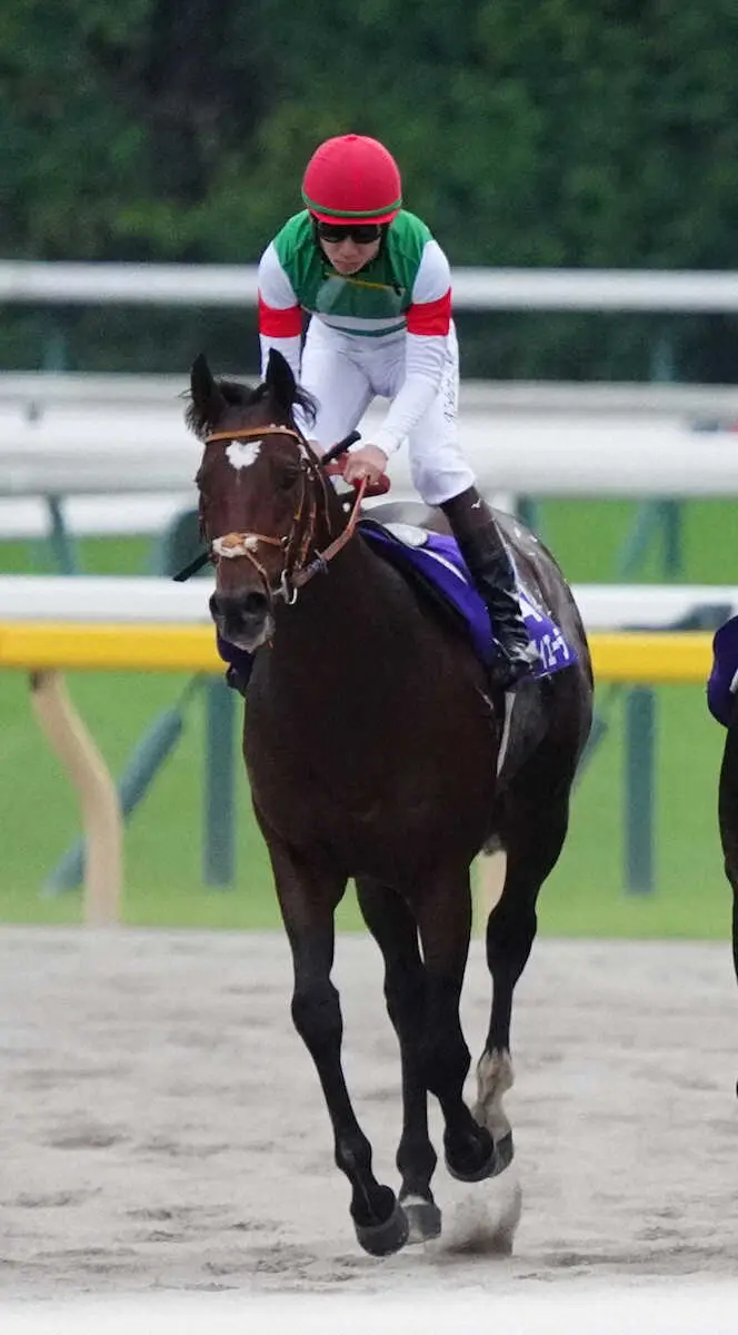 【天皇賞・秋】タスティエーラ意地の2着　ダービー馬ワンツー決着はレース史上初