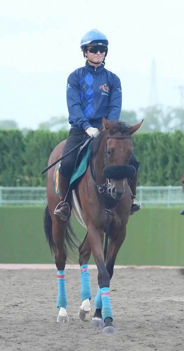 【京王杯2歳S】キタノクニカラ成長見せる！小島師「バランス良くなってくれれば」