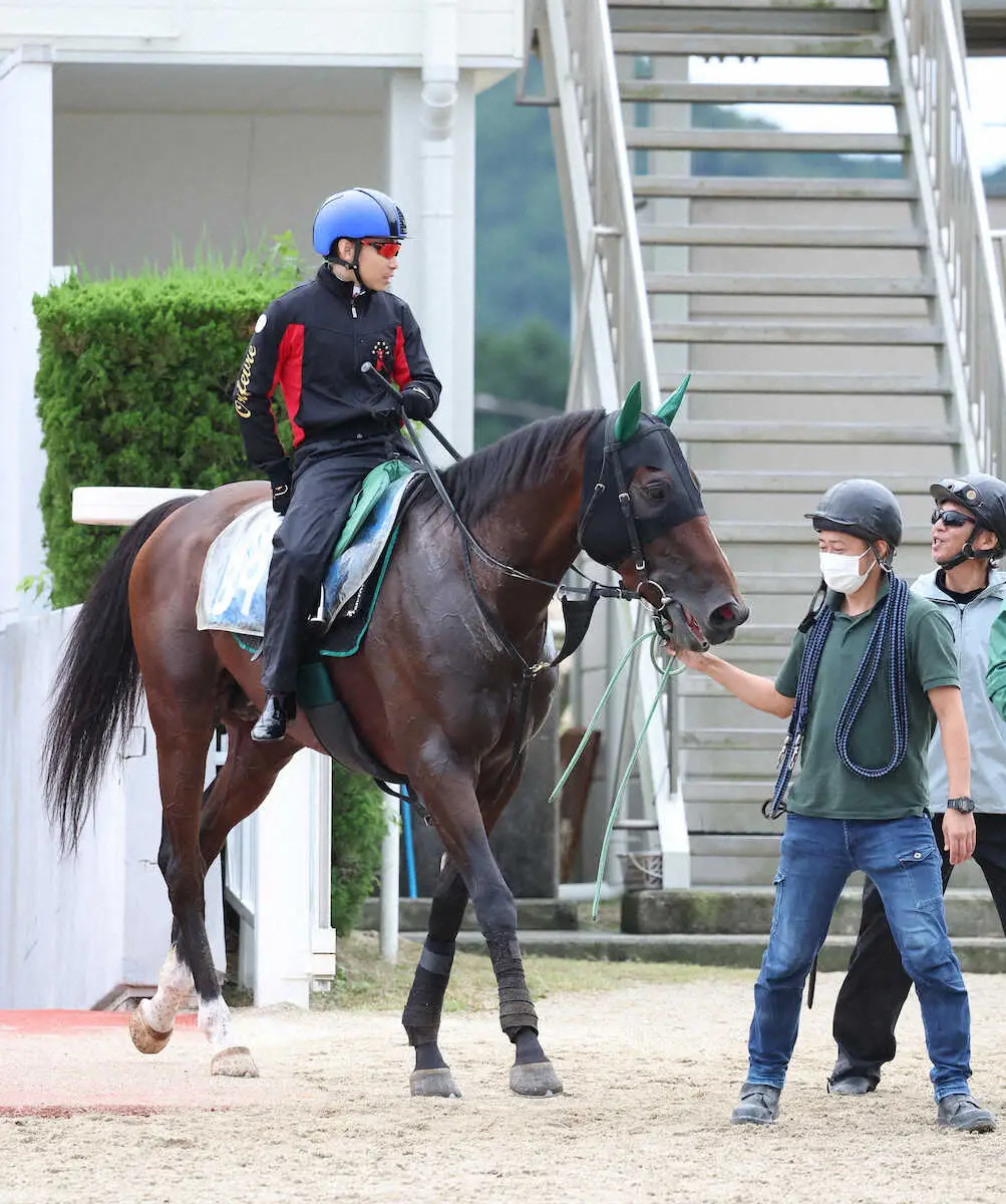 【アルゼンチン共和国杯】4歳馬サヴォーナV条件全てクリア