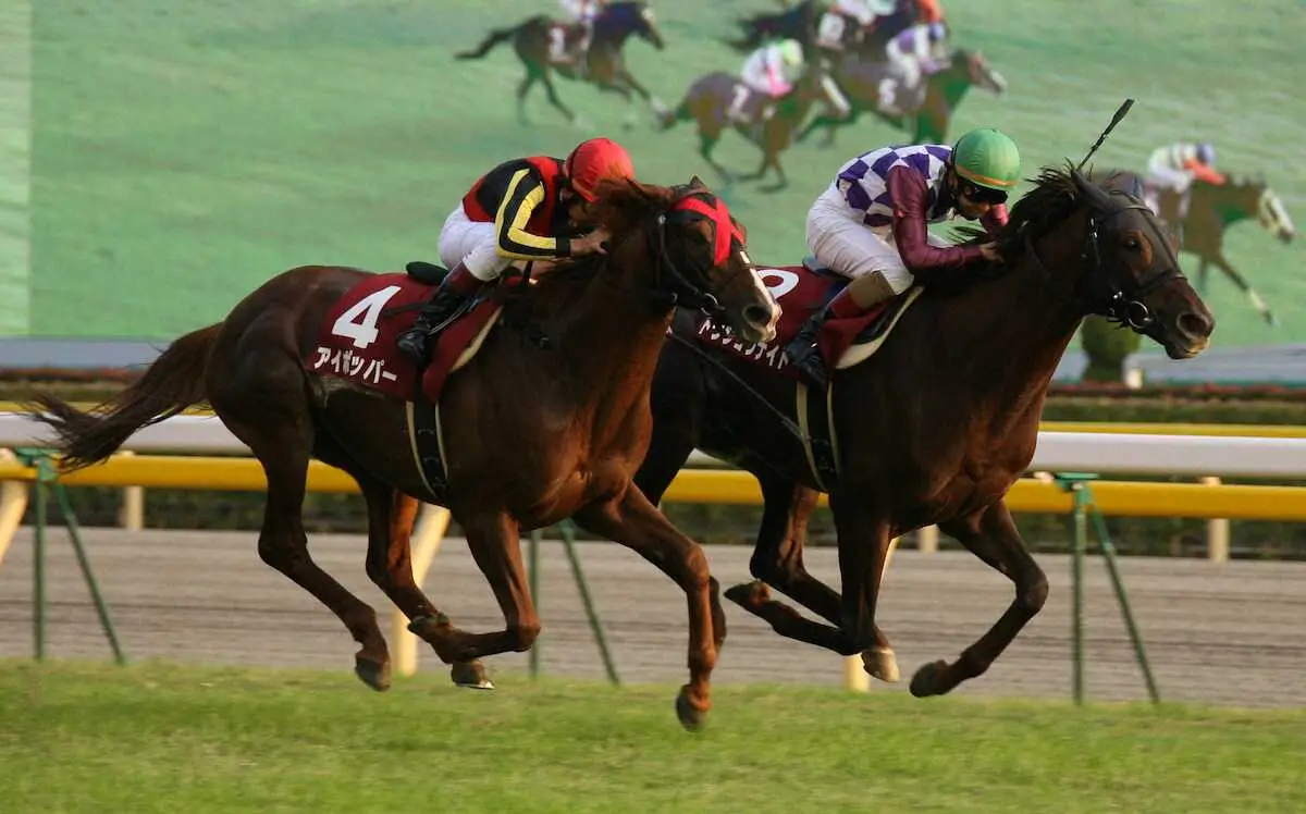 【追憶のアルゼンチン共和国杯】06年トウショウナイト　ついにつかんだ人馬ダブルの初重賞タイトル