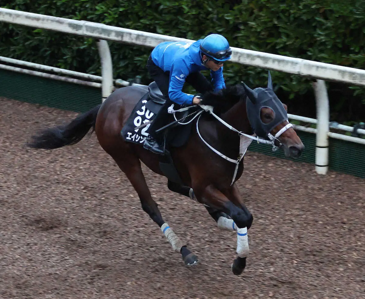 【京王杯2歳S】エイシンワンド　気持ちを整えた、幸「距離が延びても折り合いは心配していない」