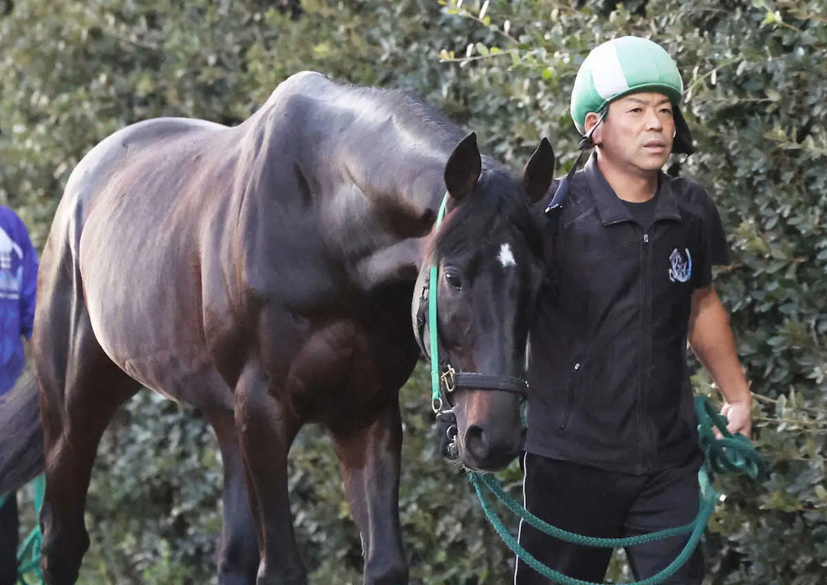 マイネル2頭が土日の東京重賞ジャックへ！宮厩舎の渡井厩務員こん身仕上げ「勝ったら泣いちゃうだろうね」