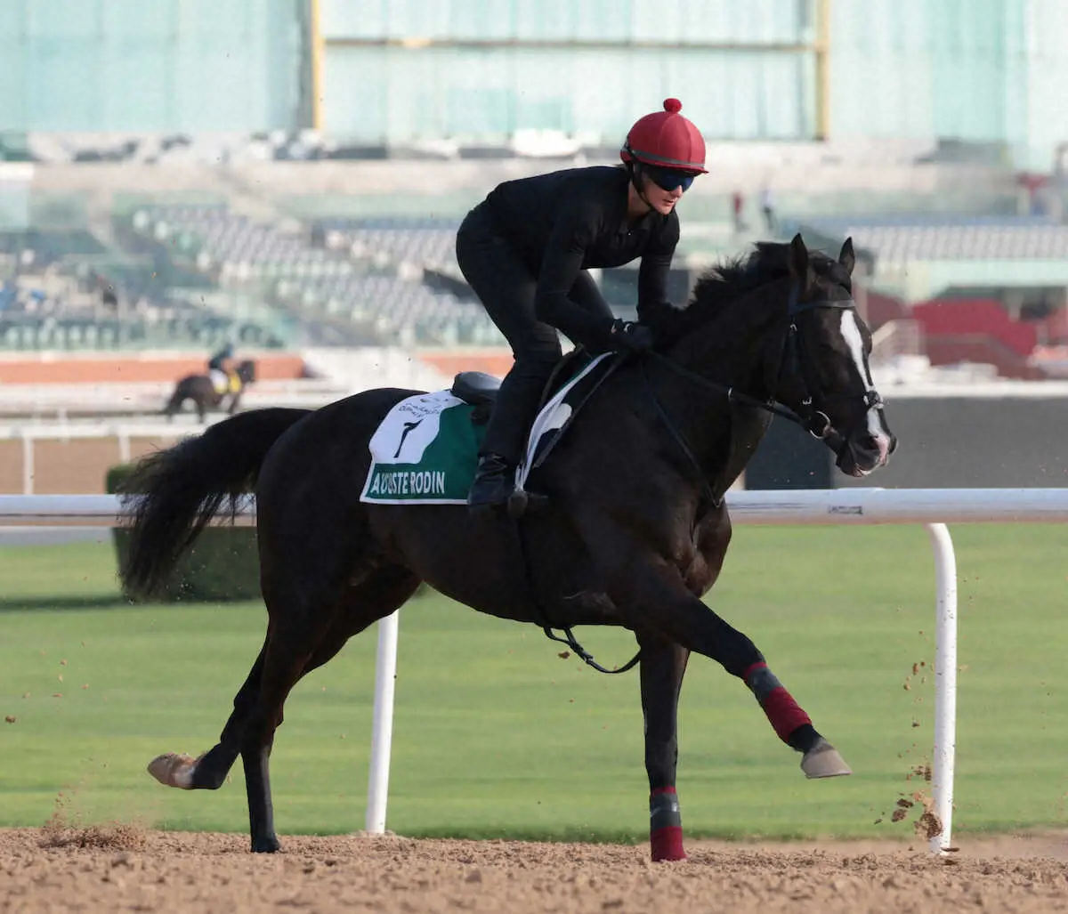 ジャパンC外国馬3頭参戦　オーギュストロダン、ゴリアット、ファンタスティックムーンが14日に来日