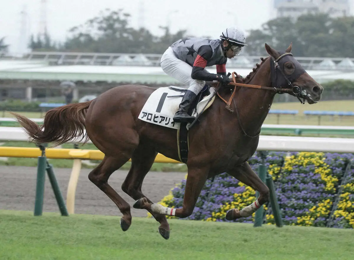 【東京新馬戦】アロヒアリイ　2馬身半差完勝、戸崎「能力がありますね」