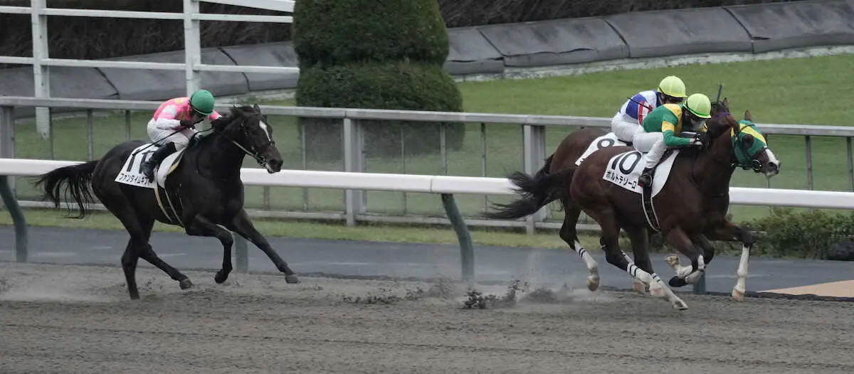 【東京新馬戦】ボルトテソーロ　直線勝負ズバリ、松山「これからさらに良くなっていく」