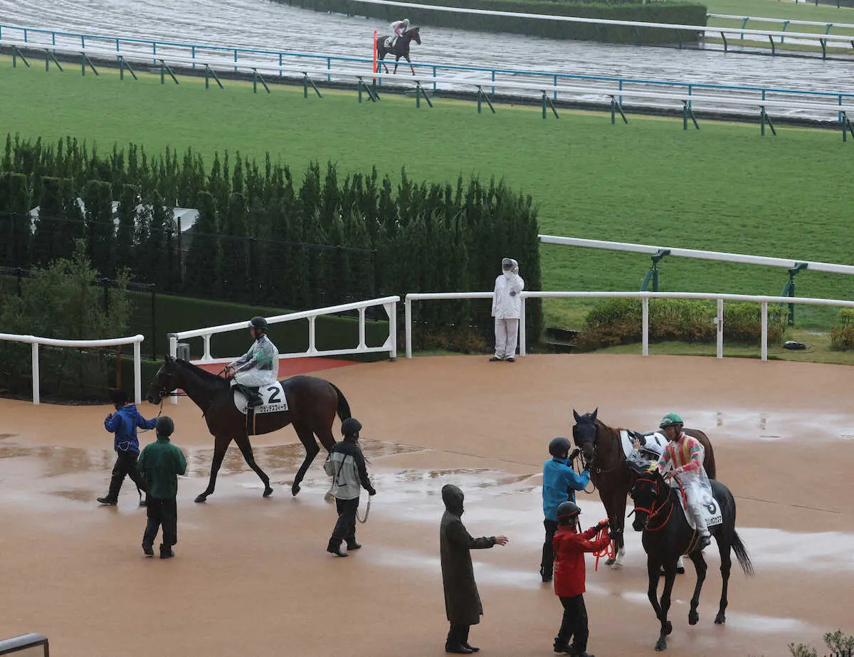 京都8R激しい降雨で中止　JRA「騎手と相談して安全な競走が困難と判断」