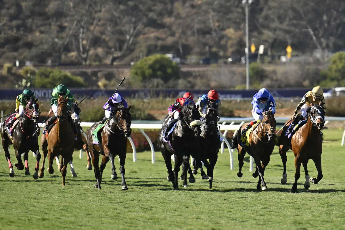 【BC】日本から参戦の2歳馬はタイトル届かず　4レース出走も壁高く…