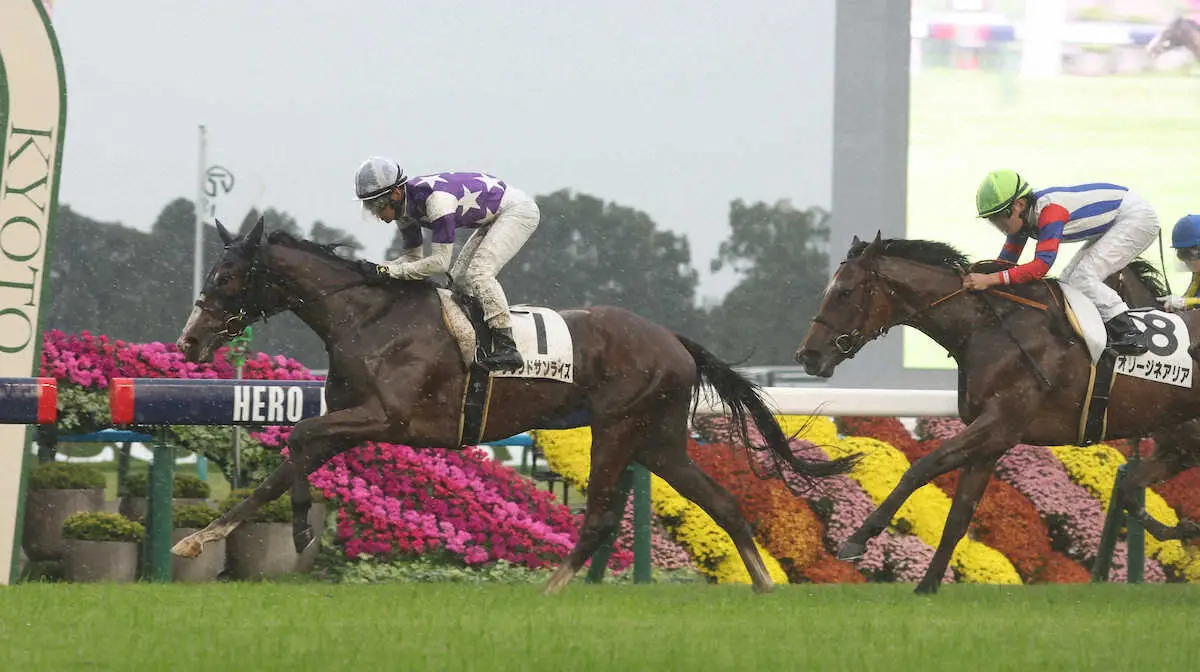 【京都新馬戦】サウンドサンライズ　追い比べを制す！浜中「こういう馬場もこなしてくれた」