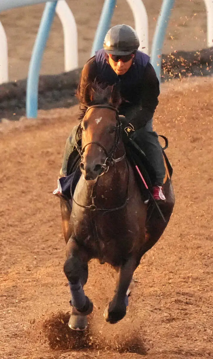 【福島記念　展望】毎年荒れるハンデ戦　シリウスコルト重賞初V条件整う