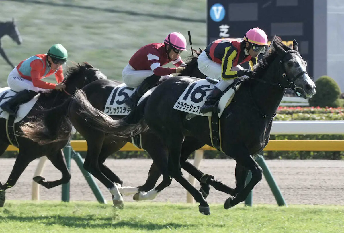 【東京新馬戦】カラヴァジェスティ　鮮やかに差し切り!　戸崎「ダート血統寄りだけど素軽い」