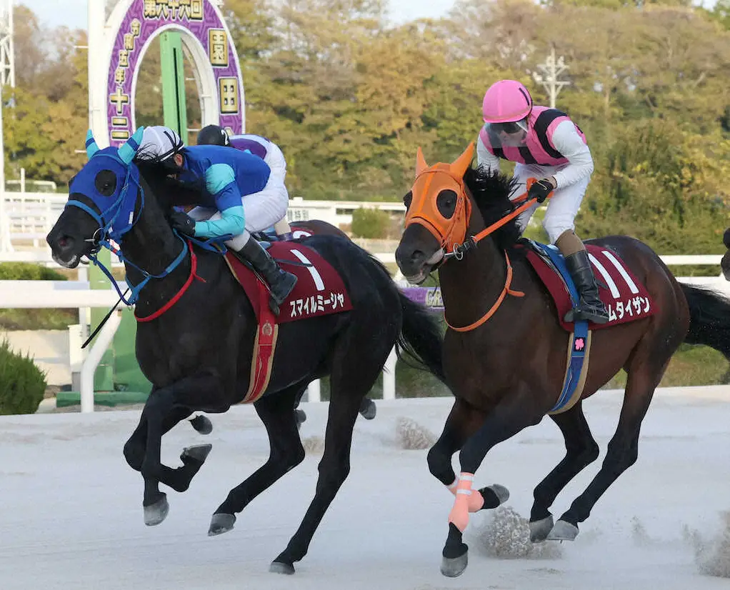 【園田競馬】園田金盃のファン投票を実施　5日から14日まで