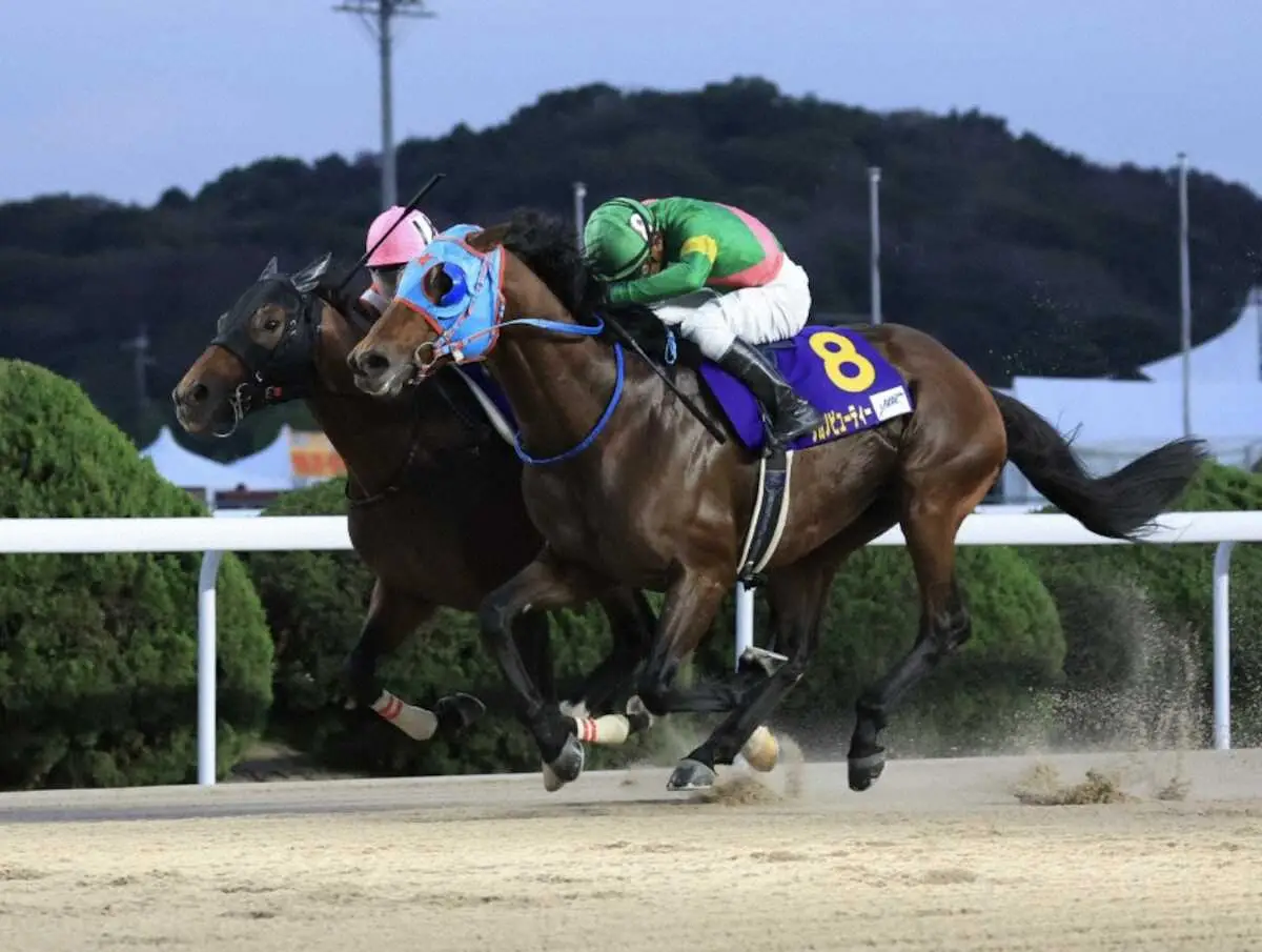 【JBCスプリント】タガノビューティー　悲願Jpn1初制覇!石橋は歓喜「とにかく勝ちたかった」