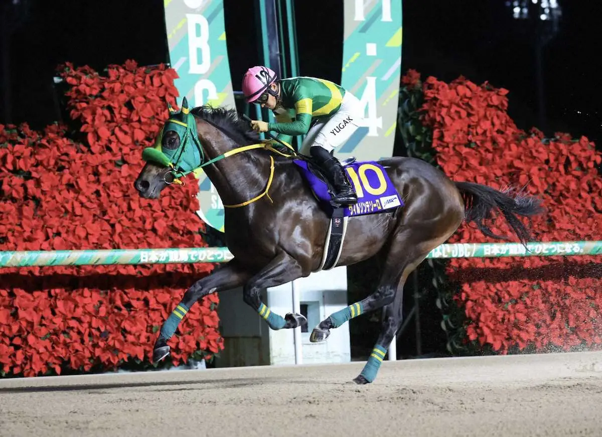 【JBCクラシック】川田涙の凱旋V!ウィルソンテソーロ　4馬身差圧勝で“新砂王”悲願の初戴冠