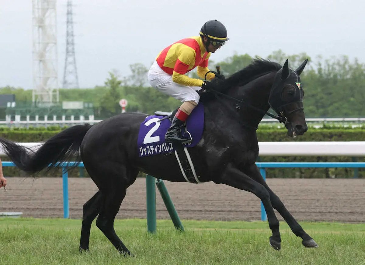 天皇賞・秋4着ジャスティンパレス、ジャパンC参戦　杉山晴師「距離が延びるのはいい」