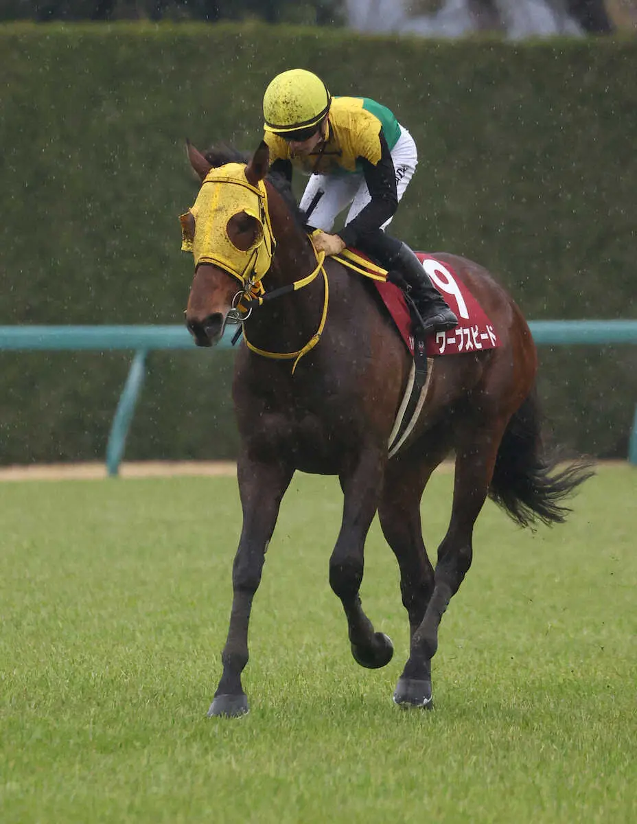 【豪メルボルンC】ワープスピード惜敗2着、18年ぶり日本馬V逃すも見せ場たっぷり