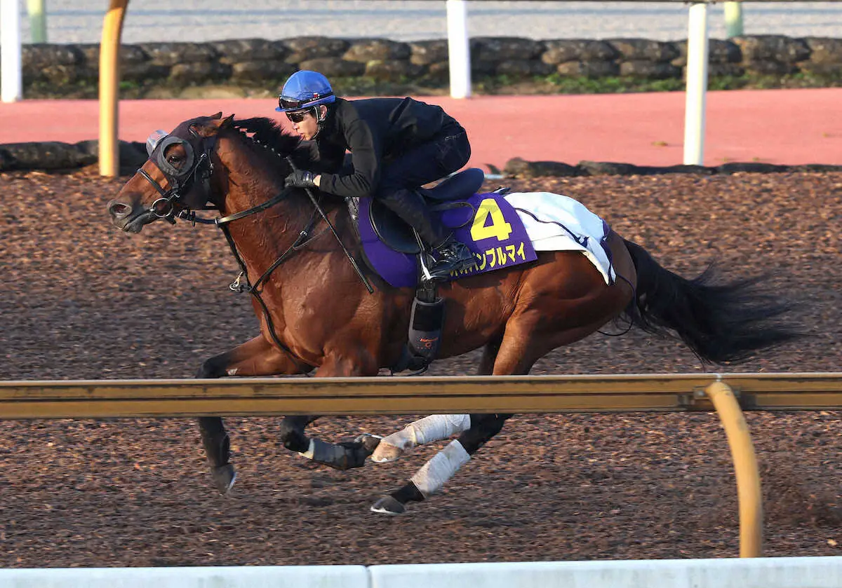 【マイルCS1週前追い】オオバンブルマイ　自己ベスト更新、武豊「相手は強いけど楽しみ」