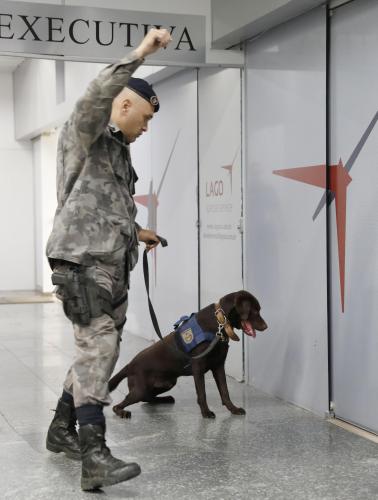 リオ五輪テロ対策で警察犬訓練「フランス警察との交流は不可欠」