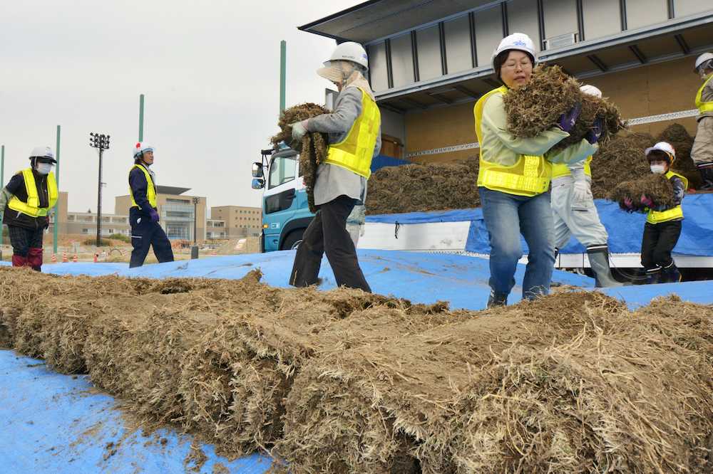 福島県のサッカー施設Ｊヴィレッジのグラウンドで始まった天然芝の張り替え作業＝１７日午前