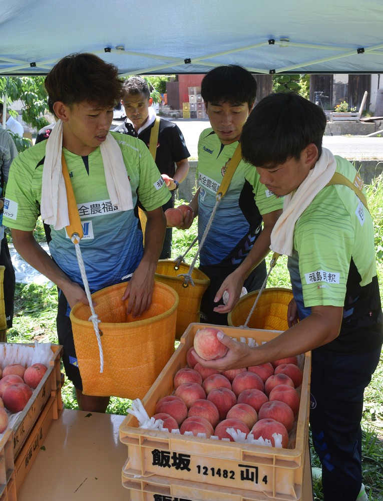 収穫した桃を選別するＪ３福島の（左から）ＦＷ田村翔太、ＭＦ前田尚輝、ＭＦ川上翔平