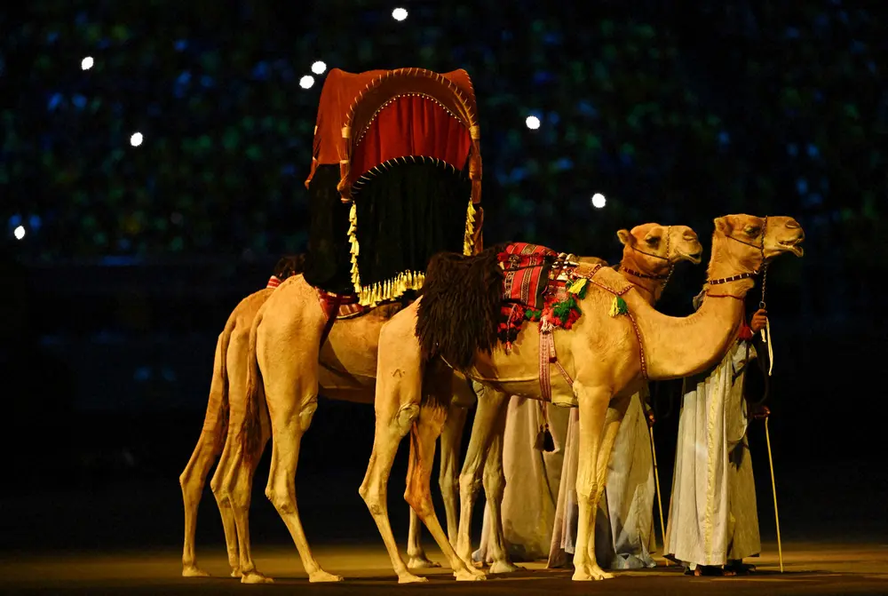 W杯カタール大会開幕！開会式で史上初となる動物登場　ラクダにネット衝撃「本物…？」「可愛い」