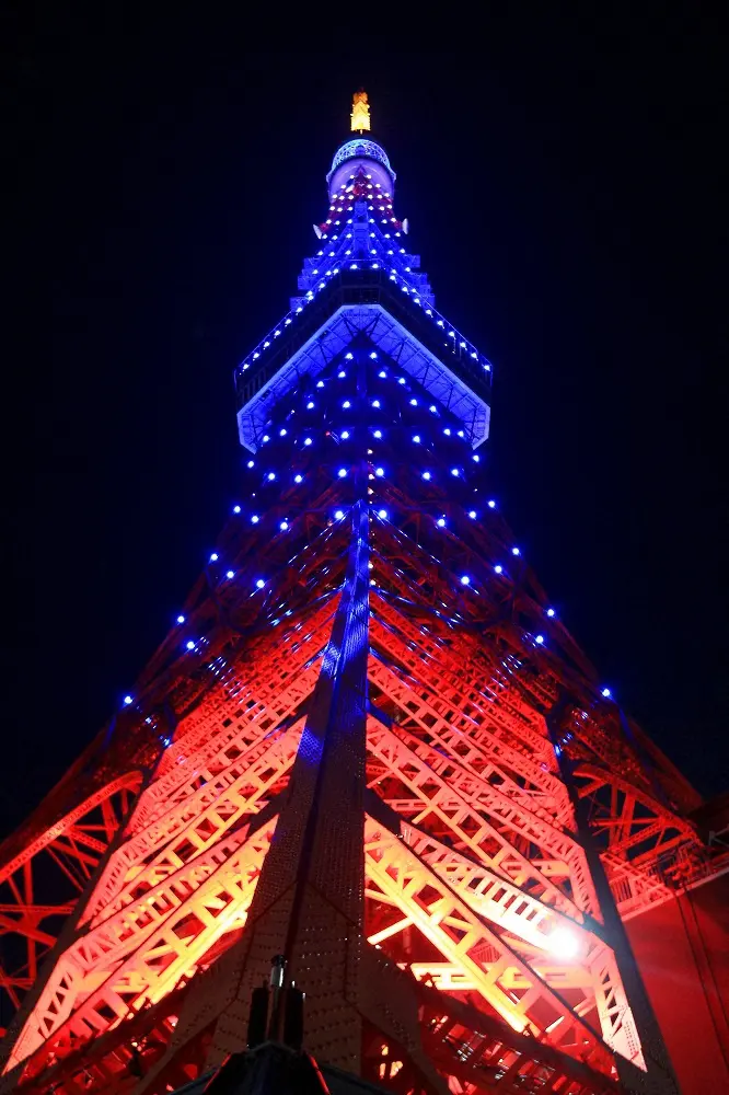 カタールに届け！　東京タワーなど5大タワーが試合当日サムライブルーにライトアップ