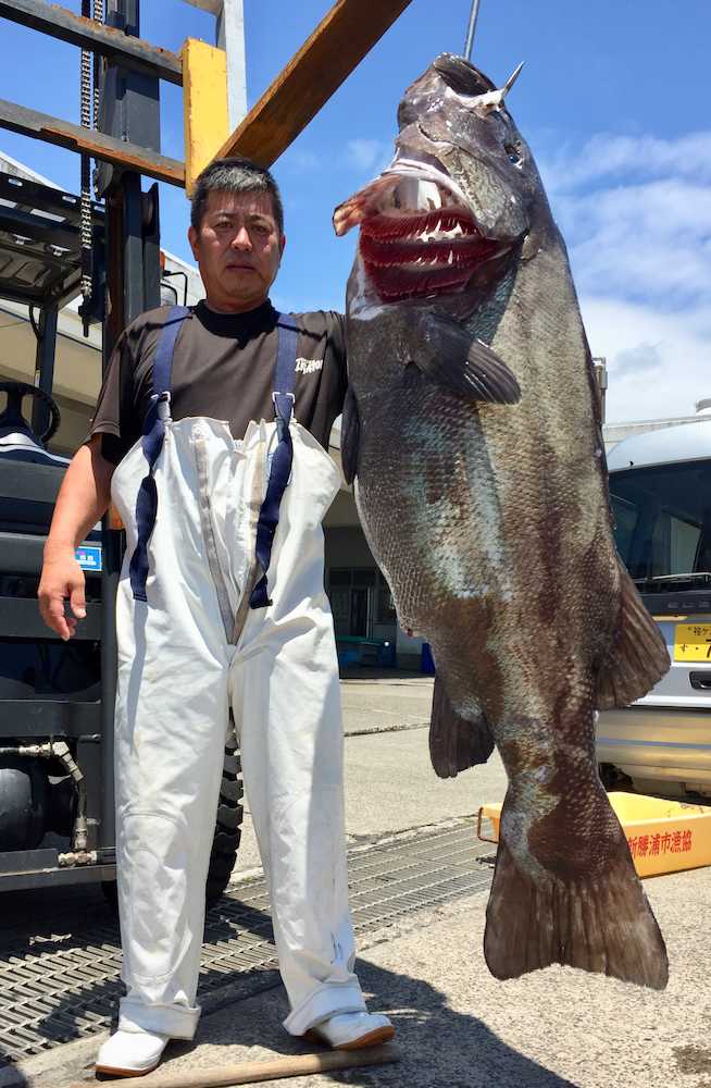 今季の最大は豊田さんが釣った５５・４キロ