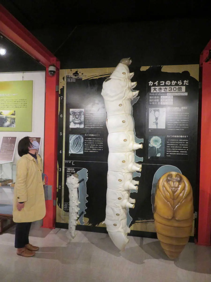 シルクミュージアムに展示された巨大なカイコの模型。モスラの幼虫を連想させた