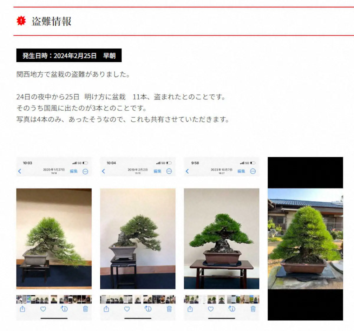 日本盆栽協同組合が公式サイトに掲載している盗難情報