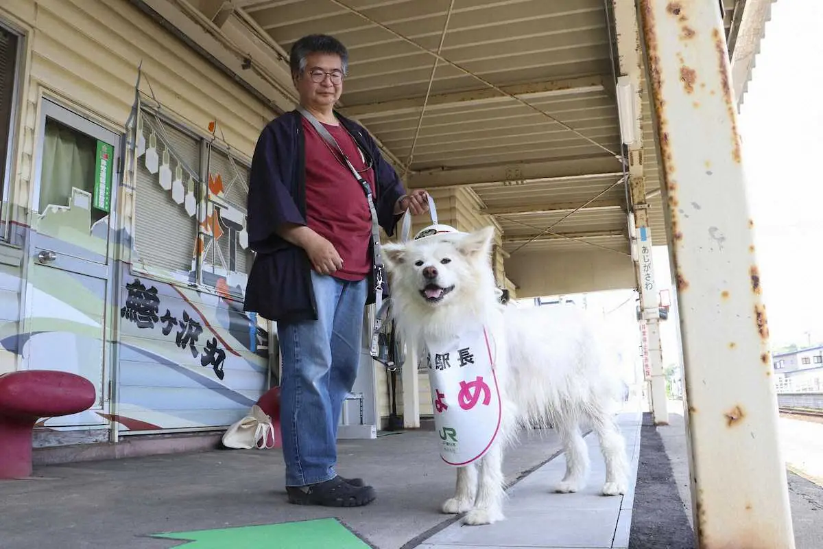 JR鰺ケ沢駅の観光駅長を務める秋田犬「ちょめ」。左は工藤健さん＝8日、青森県鰺ケ沢町
