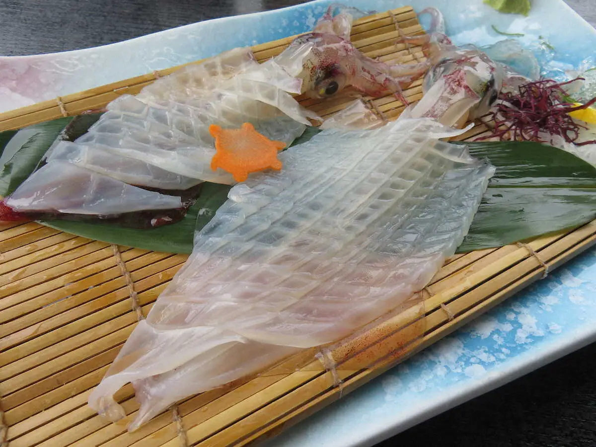 【画像・写真】【佐賀・唐津】衝撃のおいしさ！コリコリ絶品「呼子のイカ」に舌鼓　食後は七ツ釜洞窟へ絶景クルーズ