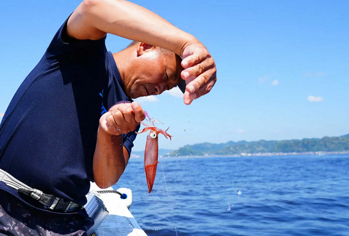 【画像・写真】マルイカ、小型1匹に感激　濁った海“イカんともしがたく”　千葉県小湊・大栄丸