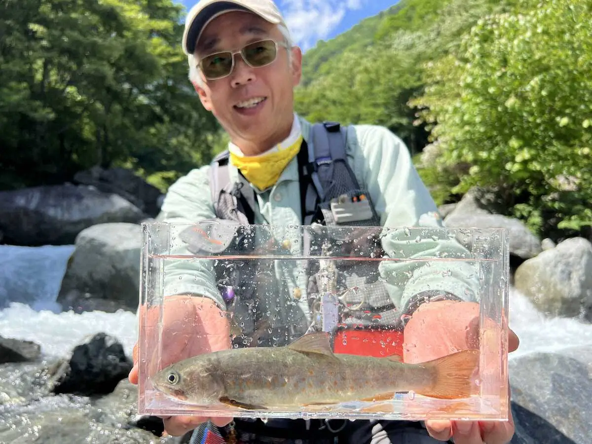 “秘境の宝”ヤマトイワナ　山梨・富士川の源流へ徒歩2時間　白い斑点がない魚体に出会えた