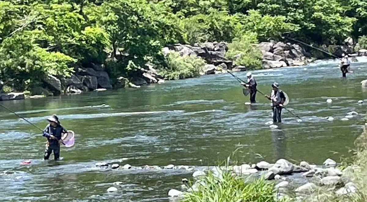 【画像・写真】新アカ見逃さず良型アユ32匹引き抜いた