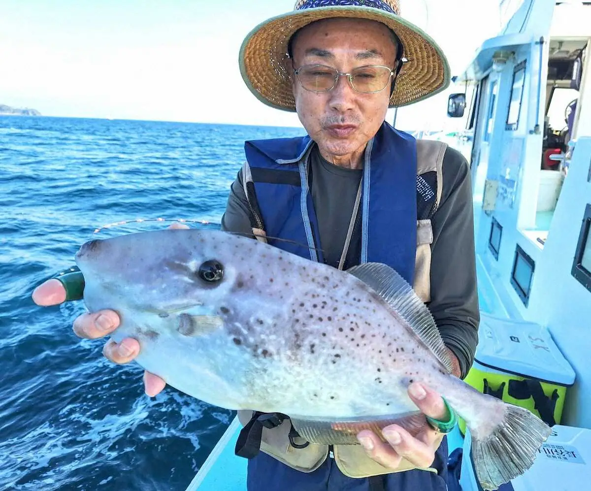 【画像・写真】カイワリ、マアジ、イナダ…秋の実りだ、特大ウスバハギ　本命シマアジ不発でも　伊東・加納丸