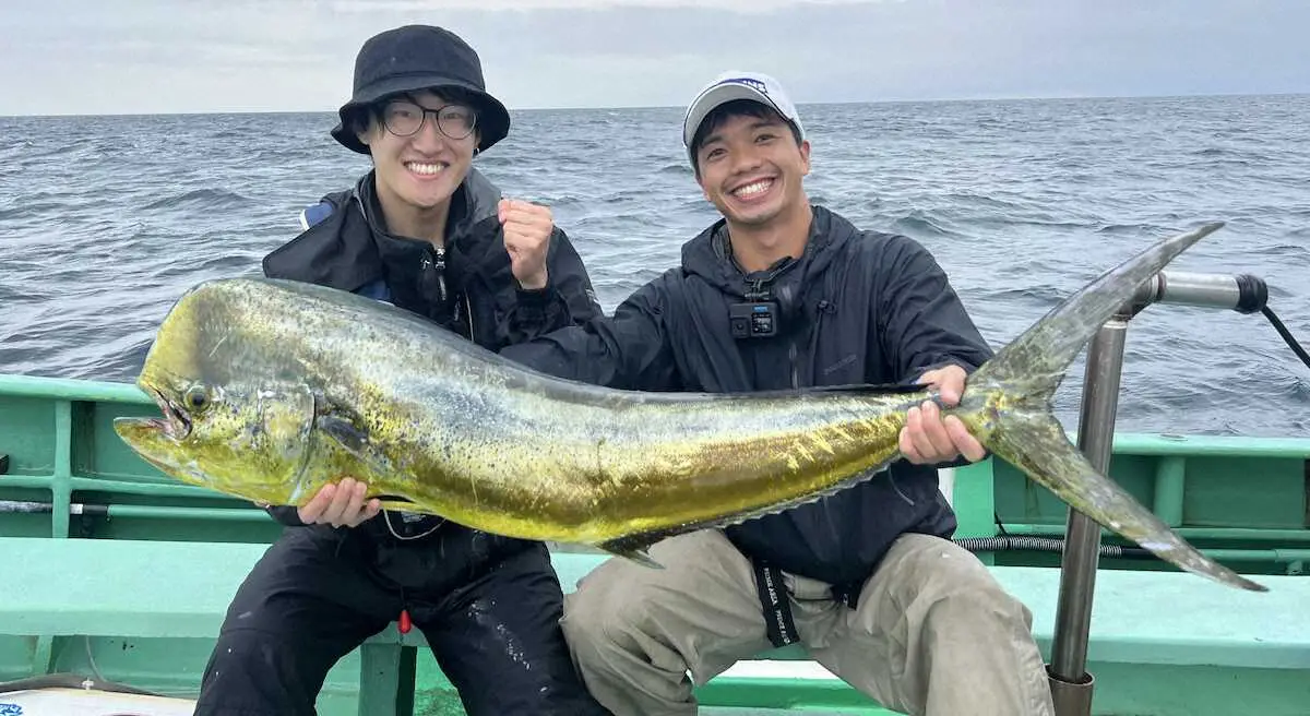 シイラ122センチ、本ガツオにキハダ　相模湾でグランドスラム