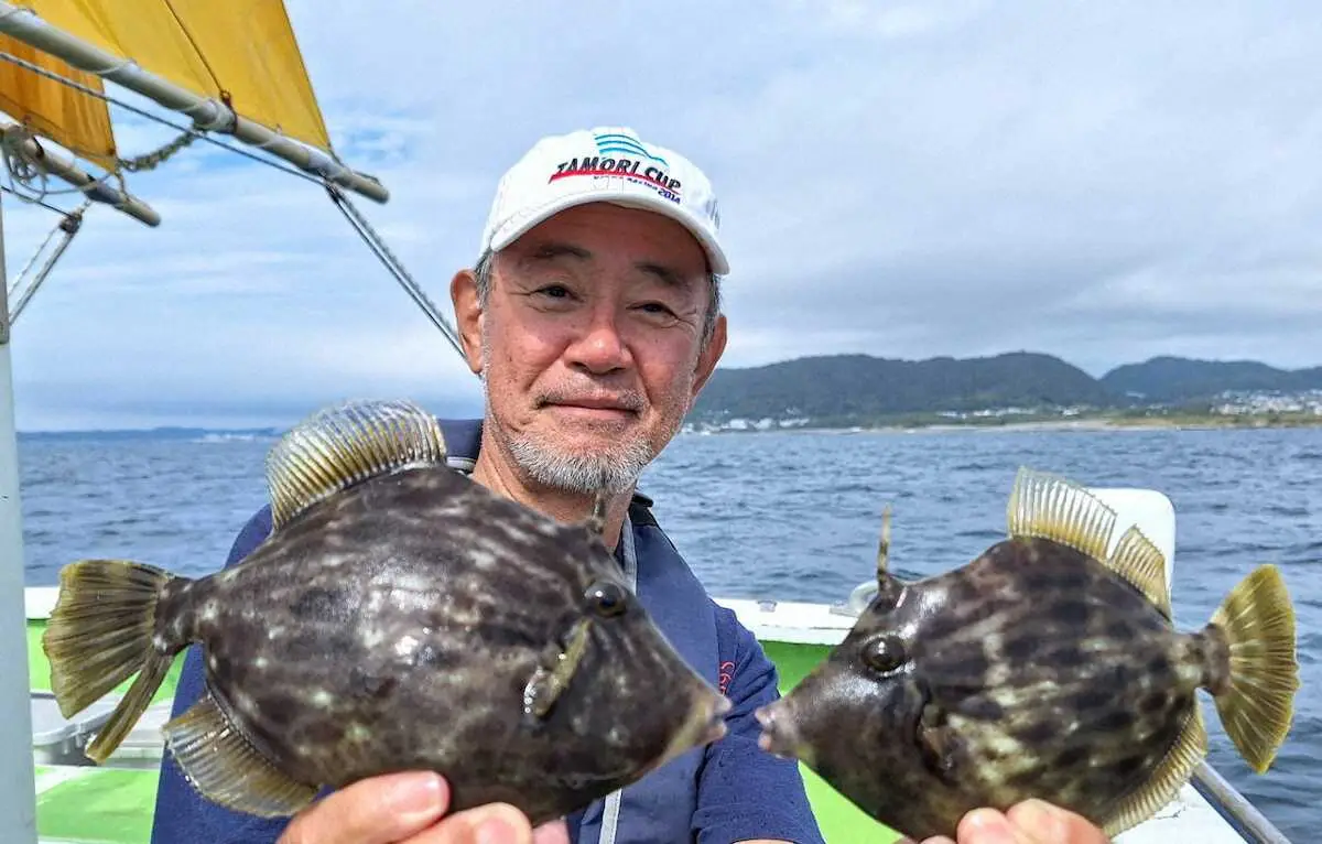 大型姿見せずも、光るカワハギ24センチ　魚影濃く活性も高く今後楽しみ