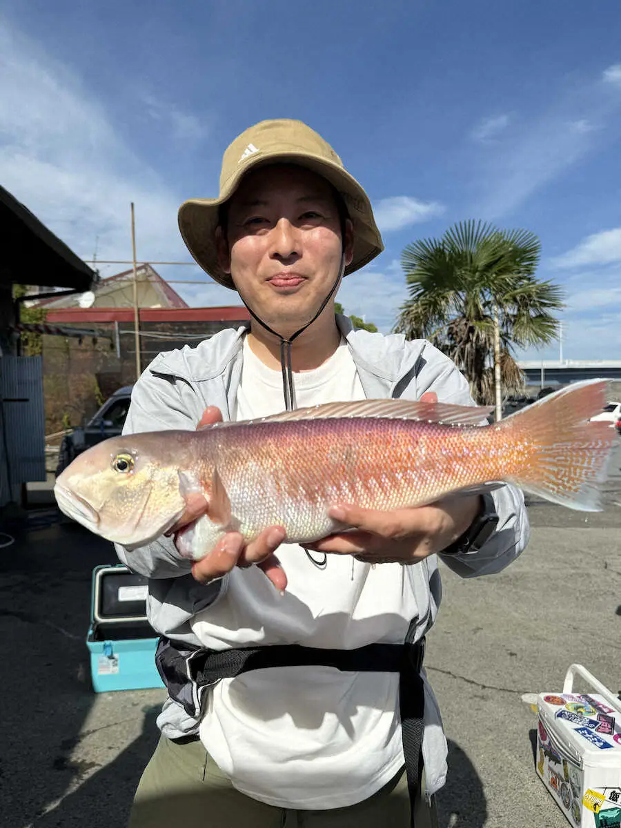 【画像・写真】シロアマ、ラッシュ…狙ってみたら…あゝ残念、赤違い　来たのはアカタチでした　　神奈川・平塚沖