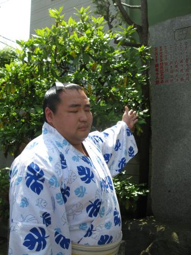 野見宿禰（のみのすくね）神社で土俵入りした後に自分のしこ名が刻まれた石碑を指さす鶴竜