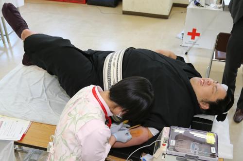 大相撲力士献血　千代鳳　血を争う？「自分は健康体」