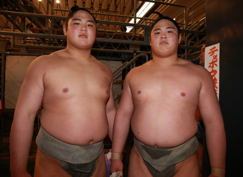 貴乃花部屋、双子力士が初っ切りデビュー　大相撲夏巡業