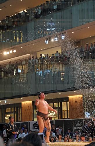 【画像・写真】白鵬　秋場所こそ主役張る！通算１０００勝と３８度目の優勝へ