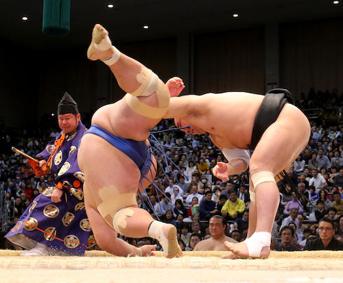 日馬富士　納得相撲で１０連勝「全身全霊で取れている」