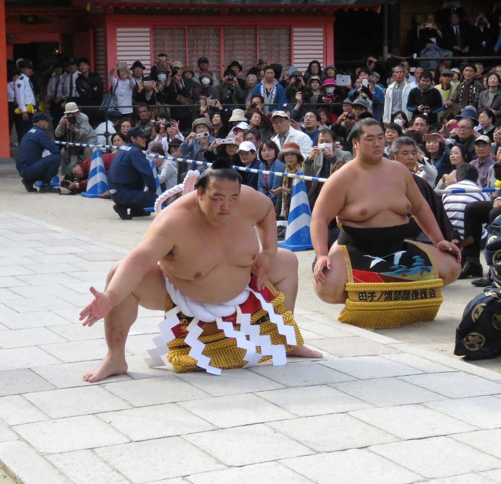 ４横綱がそろうのは初　大相撲九州場所　住吉神社で奉納土俵入り