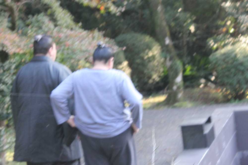 太宰府市にあるの伊勢ケ浜部屋に戻ってきた日馬富士（左）